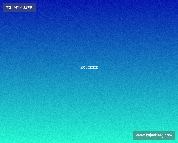 2022年塞纳汽车新款